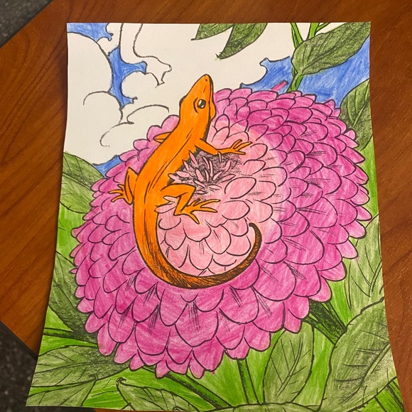 Gorgeous Picture of a Zinnia Flower With An Orange Salamander Resting On Top - Picture 1 of 1